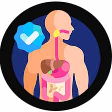 Supplements that support Heart / Digestive Health.