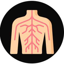 Super B Complex Supplement