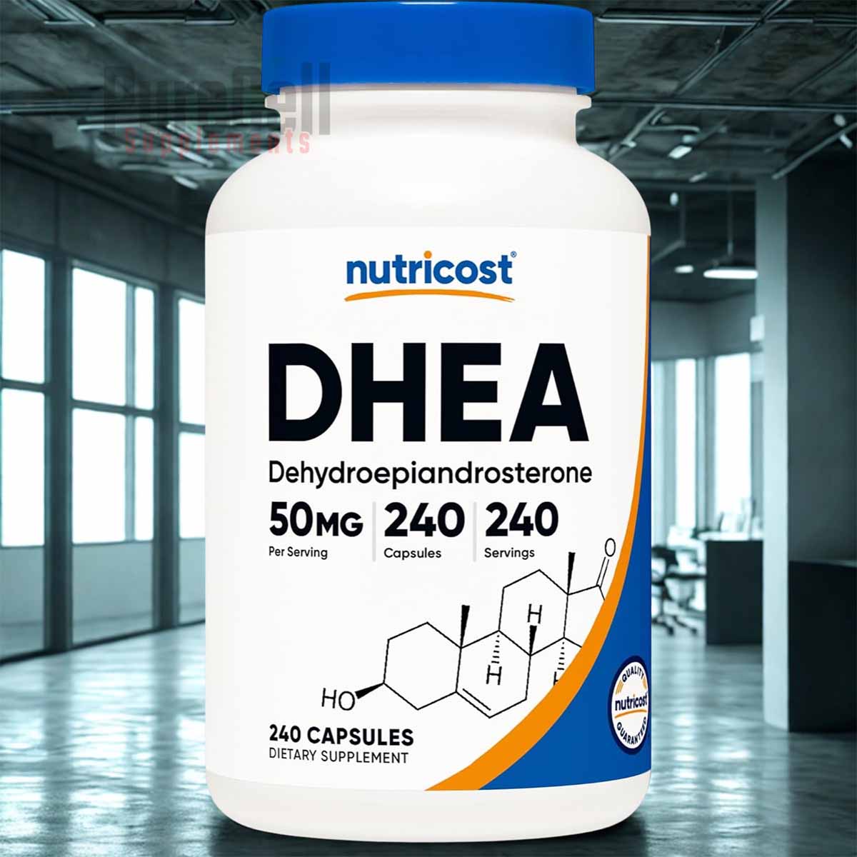 DHEA 50 MG - 240 Capsules
