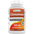 Cinnamon Supplement 500 MG